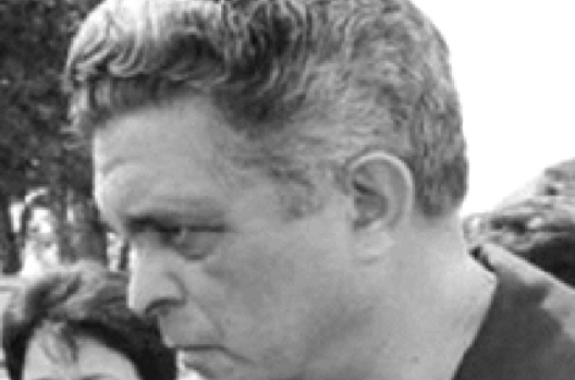 Julian F. Rizo Alvarez (Prohibido Olvidar)