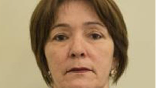 Ileana Julia Gómez Guerra