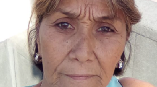 Yamilé Liy Mendaña