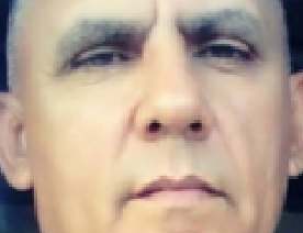 Yoni Rafael Feriia Infante  (en EE.UU.)