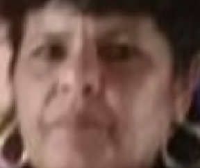 Silvia Alina Martínez Montero