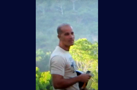 DANIEL LABAÑINO FALS