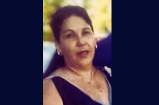 VIRGINIA CELESTINA LADRON DE GUEVARA